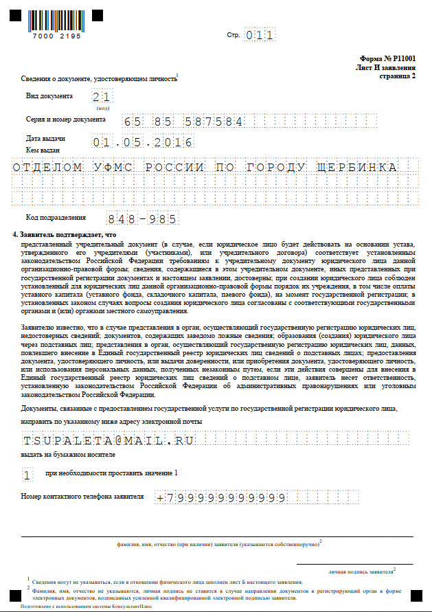 форма Р11001 пример заполнения форма Р11001 пример заполнения